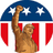 PATRIOT icon