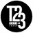 T23 icon