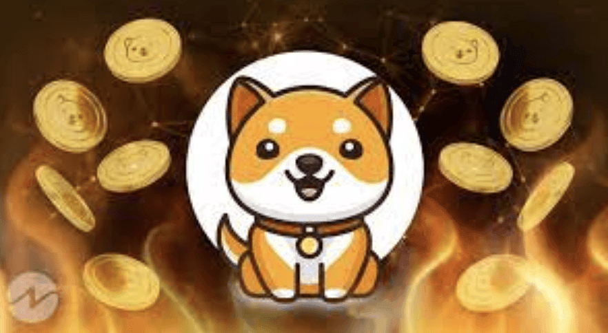 babydoge-coin.png