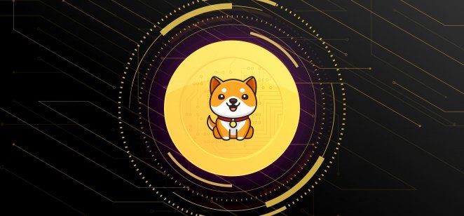 Baby-Doge.jpg