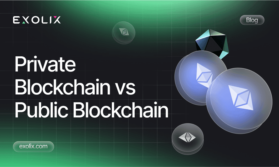 Private Blockchain vs Public Blockchain 