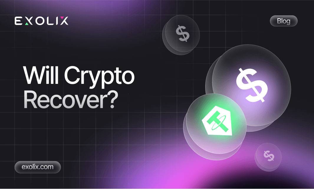 Will Crypto Recover and Why Is Crashing?