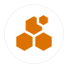 BZZ icon