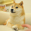 DOGNFT icon