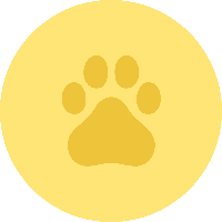 DXCT icon