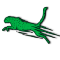 FAST icon