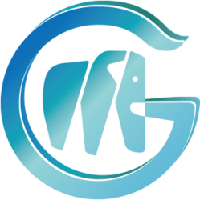 GMMT icon