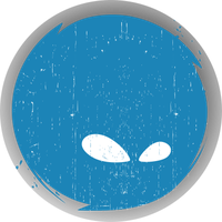 INSN icon
