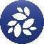 NKN icon