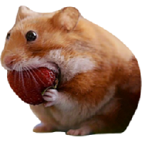 NOMNOM icon