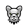 PIT icon