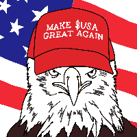 USA icon