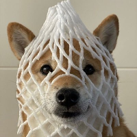 WDOG icon